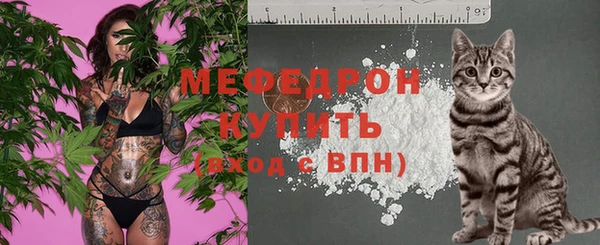 ECSTASY Вяземский