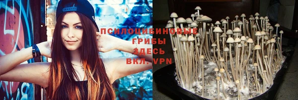 молекула духа Михайловск
