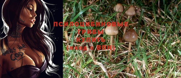 ПСИЛОЦИБИНОВЫЕ ГРИБЫ Мегион