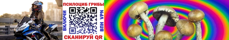 что такое наркотик  ОМГ ОМГ сайт  Псилоцибиновые грибы Cubensis  Нестеров 